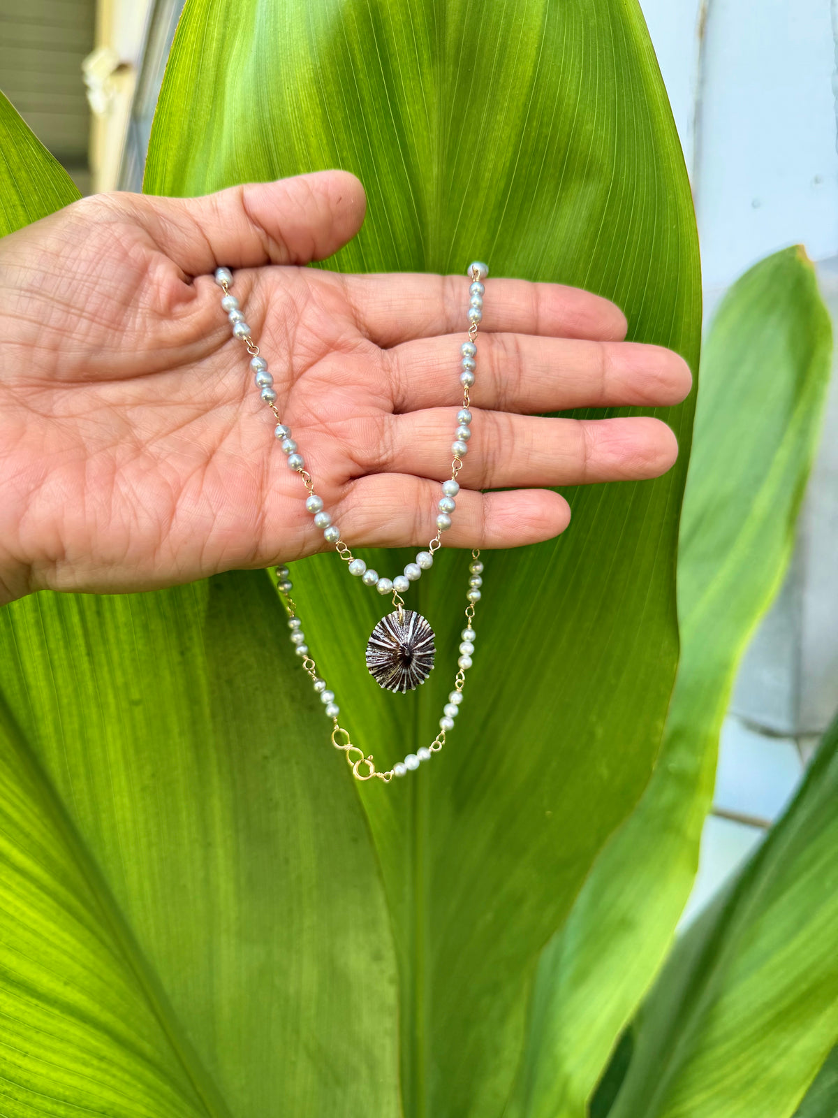 Ka’iulani Opihi Awa Necklace