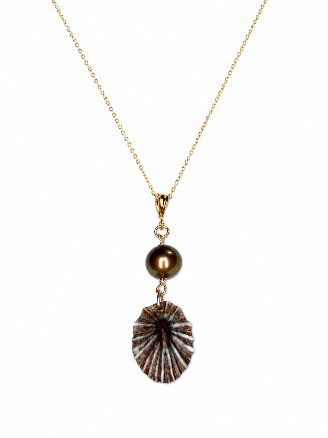 Nohea ʻŌpihi Momi Necklace